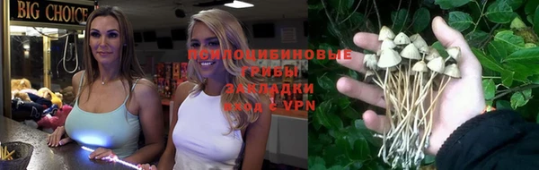 прущая мука Няндома