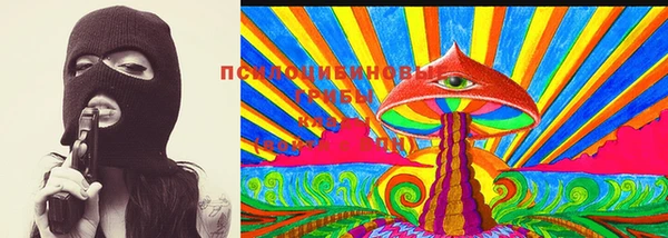 дурь Анива