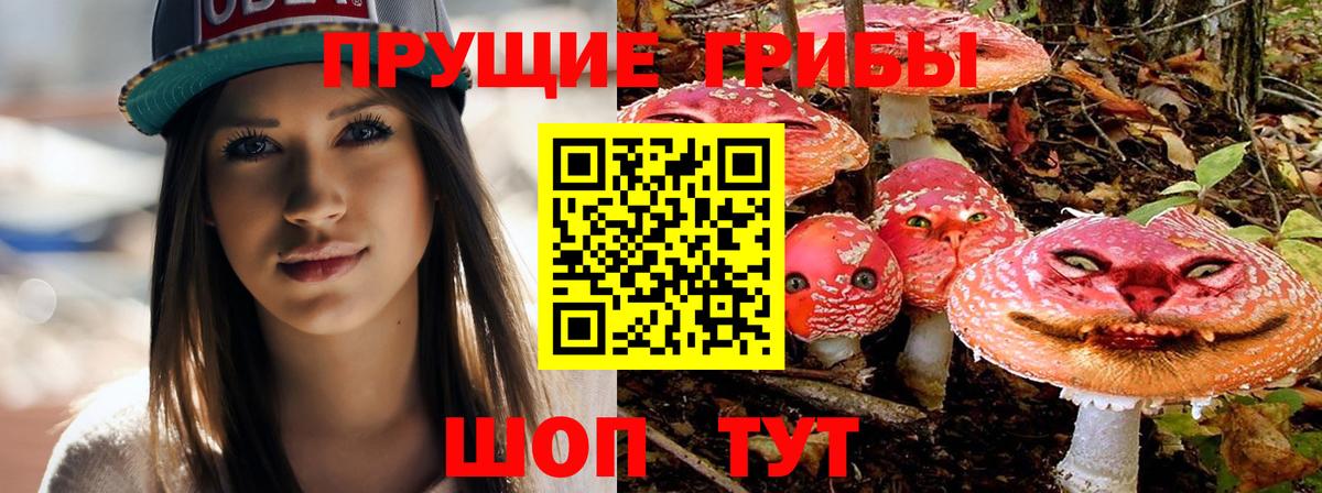 Галлюциногенные грибы ЛСД  Саров 