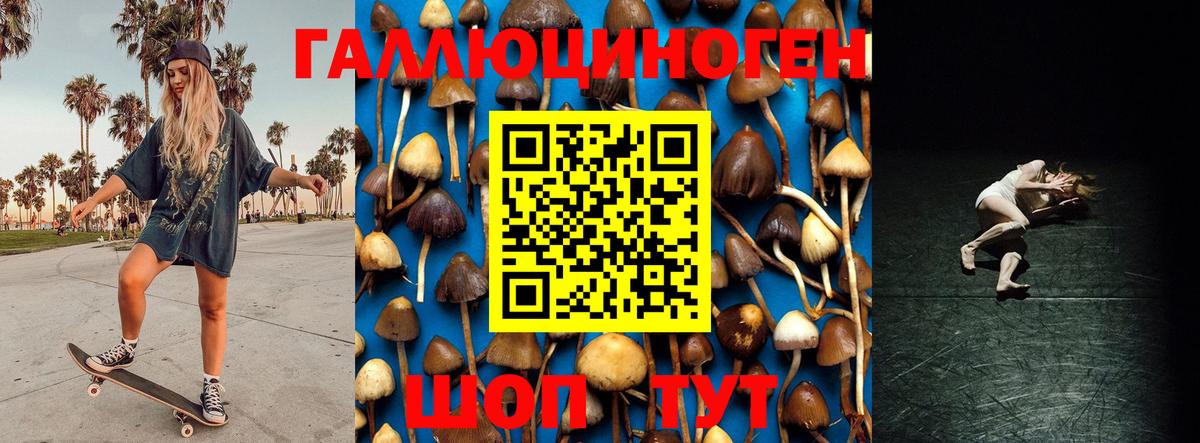 Псилоцибиновые грибы GOLDEN TEACHER  Вход с VPN  Саров 